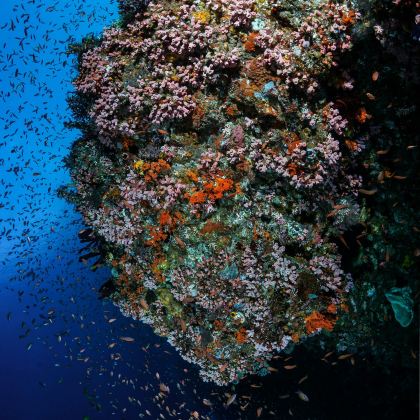 龙目岛+吉利群岛+科莫多5日4晚私家团