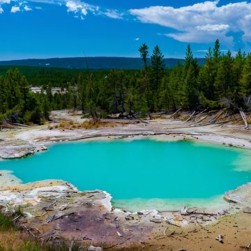 美国西雅图+洛杉矶+雷尼尔山国家公园+太空针塔+圣莫尼卡海滩+好莱坞星光大道+中途岛号博物馆9日8晚私家团