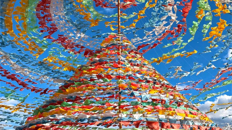7-Day Yunnan Private Tour from Kunming· Dali, Lijiang, Shangri-La, Dianchi Lake, Tiger Leaping Gorge, Yulong Snow Mountain | Stone Forest Scenic Area
