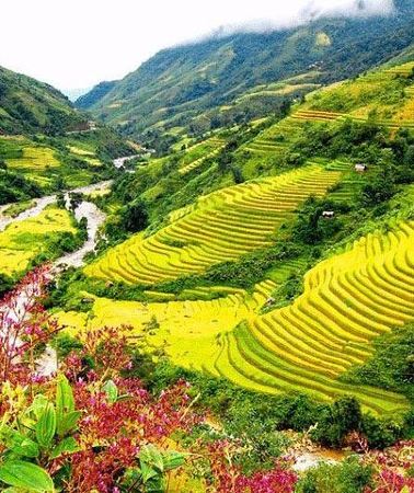 3D2N • 2-Day Amazing Sapa Trek With Sleeper Train From Hanoi - Overnight At Homestay