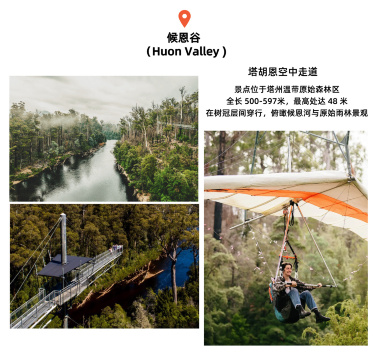 霍巴特