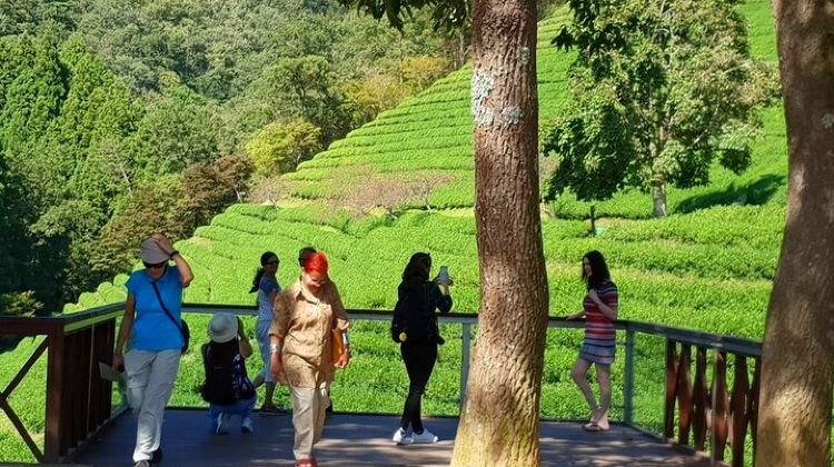 4-Day Discover Western Korea in 4days: All-Inclusive Experience