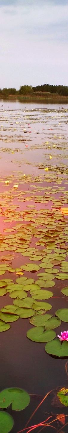 仙山湖风景区-长兴