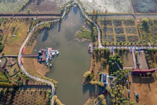 上海崇明荷花博览园旅行图片 5