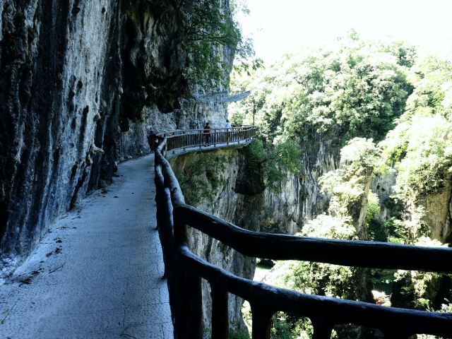 洒金公园旅行图片 4