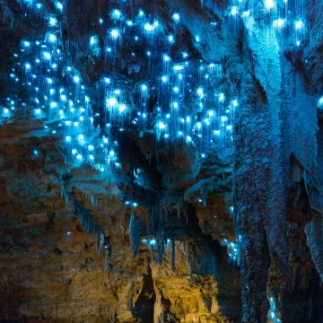 澳大利亚悉尼+黄金海岸+布里斯班9日跟团游