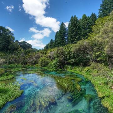 新西兰南岛+北岛+奥克兰+凯库拉观鲸游船14日13晚自由行