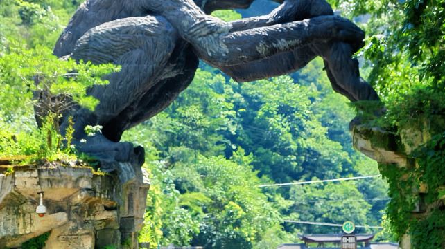 神农架、宜昌+4