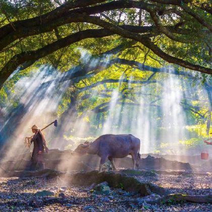 霞浦+杨家溪+东海一号观光步道4日3晚拼小团