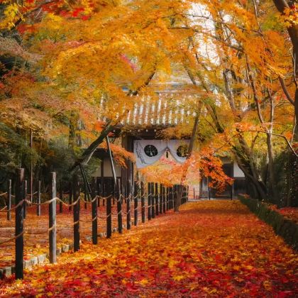 北海道8日7晚私家团