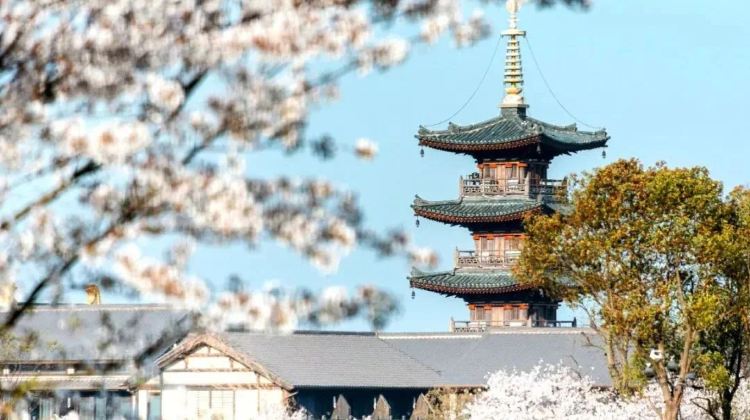 6D5N · Group Tours · Shanghai + Hangzhou + Wuxi +suzhou+ Wuzhen Welcome to contact customer service International visitor small group