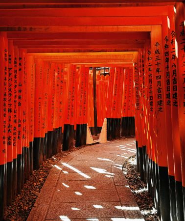 4D3N • Japan Osaka Kyoto Nara City 4-day 3-night small group tour