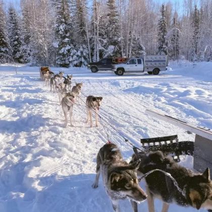 阿拉斯加州费尔班克斯6日4晚私家团