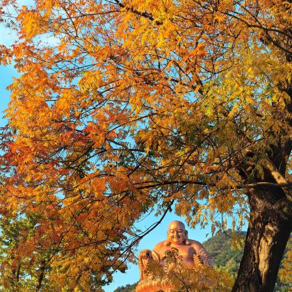 宁波+温岭+神仙居6日5晚私家团
