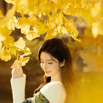 云南昆明+腾冲+瑞丽+芒市+西双版纳8日7晚跟团游