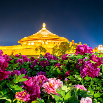 河南洛阳+龙门石窟+老君山景区+白马寺+隋唐洛阳城应天门遗址5日4晚私家团