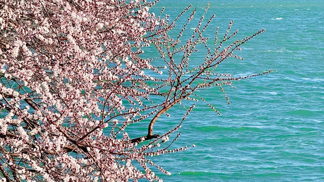 北京旅游包车，选珈程：专业靠谱，让每一程都安心愉悦