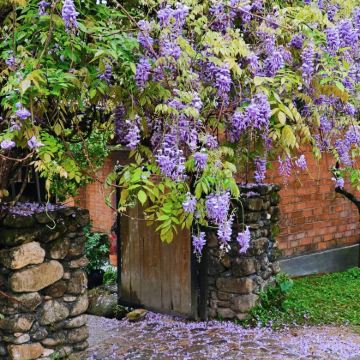 东京+富士山5日4晚跟团游