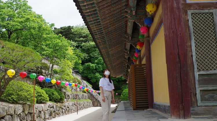 5-Day 5-Day Korea Golden route by K-shuttle Tour from Seoul Including Busan, Yeosu