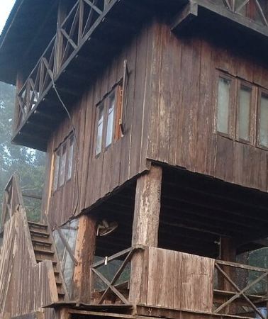 3D2N • Jungle Tower Night Stay in Chitwan National Park 2 Nights 3 Days
