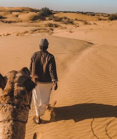 2D1N • Wild Desert Overnight Safari