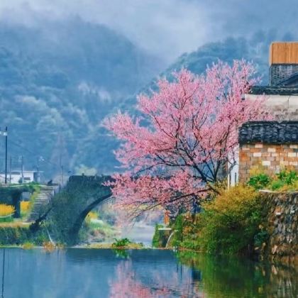 千岛湖+宏村+西递+婺源篁岭景区+新安江山水画廊+徽州古城6日5晚跟团游