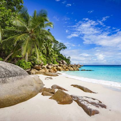 马达加斯加+留尼汪（法属）+毛里求斯+塞舌尔12日跟团游