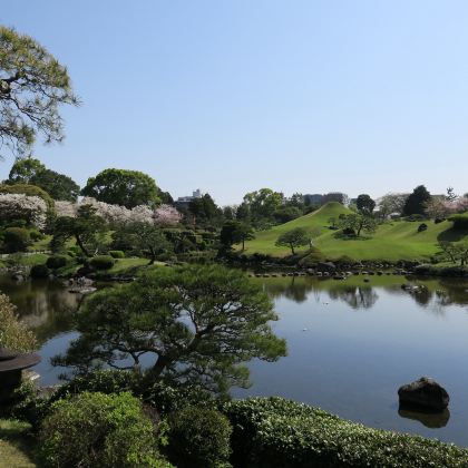 福冈+熊本+鹿儿岛7日6晚自由行