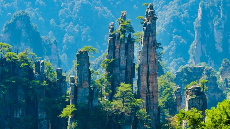 5D4N · Private Tours · Beat the summer heat in Zhangjiajie's cool forests. Enjoy private guided tours, water activities, and flexible vehicle upgrades for your group.