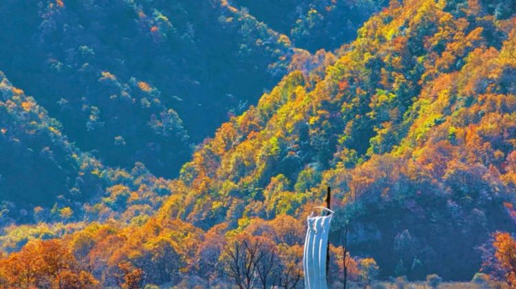 2D1N · Group Tours · Shennongjia