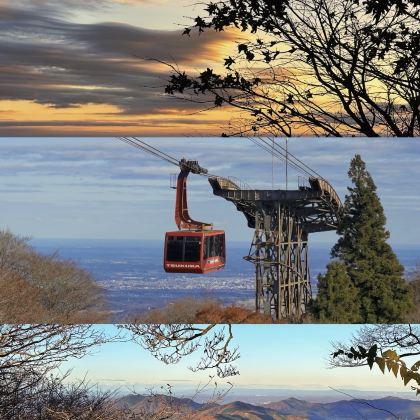 日本东京+千叶+茨城6日5晚拼小团