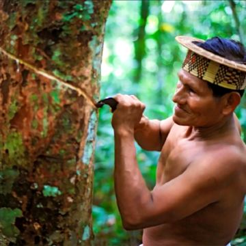巴西圣保罗+亚马逊雨林+里约热内卢7日6晚私家团