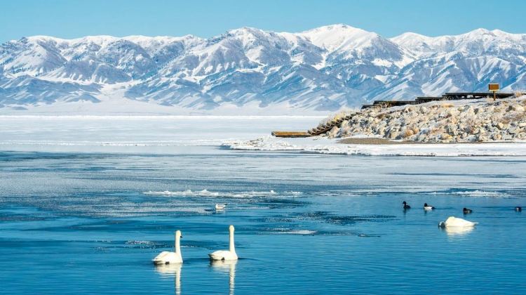 8-Day Northern Xinjiang Group Tours: Xinjiang Kanas National Geopark, Hemu Scenic Area, Sayram Lake, Nalati Scenic Area, Tianshan Tianchi | One Night in Hemu + Featured Meals·  