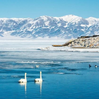 新疆乌鲁木齐+北疆10日9晚拼小团