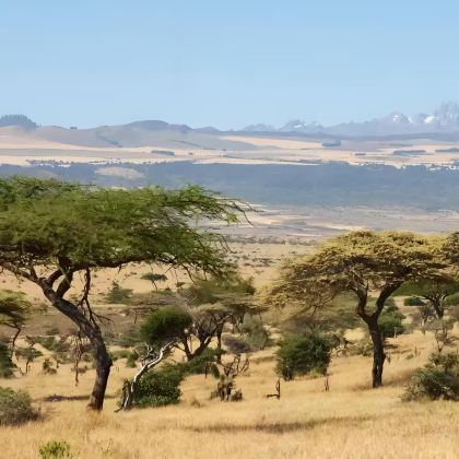 肯尼亚11日9晚拼小团