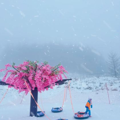 神农架国际滑雪场2日1晚自由行
