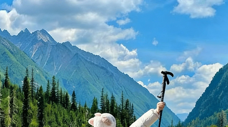 【成都出发】成都+九寨沟+黄龙风景名胜区+四姑娘山景区+墨石公园景区+新都桥+鱼子西8日7晚私家团
