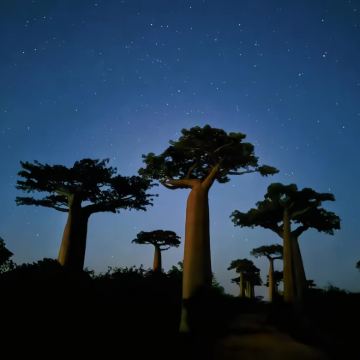 马达加斯加8日7晚私家团