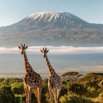 坦桑尼亚10日9晚拼小团