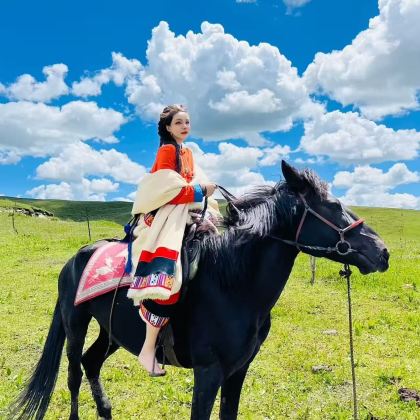 甘肃+青海+西宁+甘南+敦煌+张掖+嘉峪关14日13晚跟团游