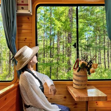 哈尔滨+漠河+北极村+北红村+龙江第一湾风景区5日4晚拼小团