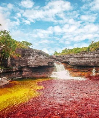 4D3N • Cano Cristales & Jungle: 4 day trip from Bogota