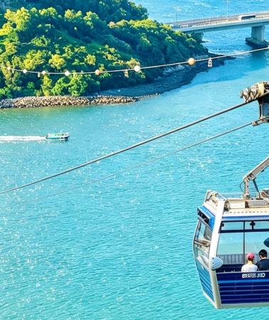 3D2N • Ngong Ping 360 + Tian Tan Buddha + Tai O Fishing Village + Kowloon Walled City Light and Shadow Exhibition + Free door-to-door pickup service with advance booking