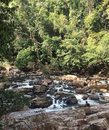 4D3N • 4-Day Jungle Experience in Taman Negara from Kuala Lumpur