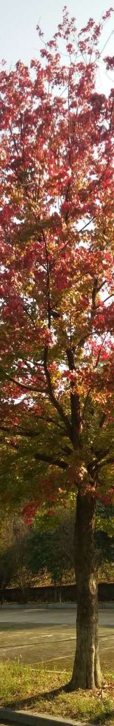 漳河风景名胜区-荆门