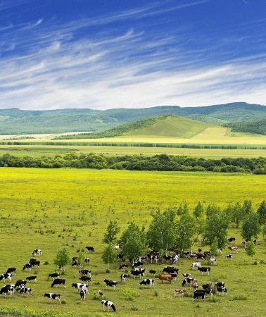 5D4N•Hohhot + Huitengxile Grassland + Whistling Dune Bay