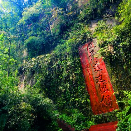 贵州贵阳+黄果树+梵净山+西江千户苗寨+遵义+赤水丹霞旅游区·大瀑布9日8晚私家团