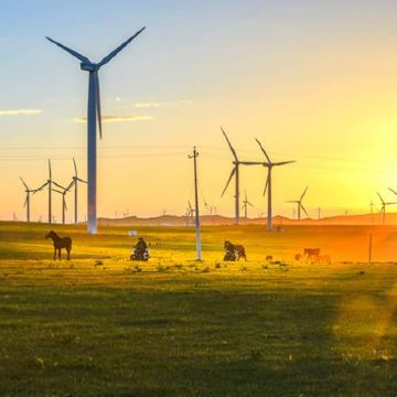 内蒙古鄂尔多斯+鄂尔多斯草原旅游区+响沙湾6日5晚私家团