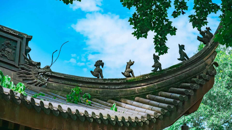 丽水旅行社家庭园艺体验旅行春节榜单发布