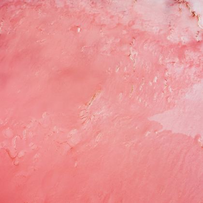 澳大利亚阿德莱德+澎湃粉红湖8日5晚私家团